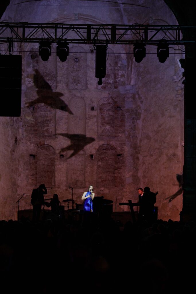 background video on stage of birds while woman sings