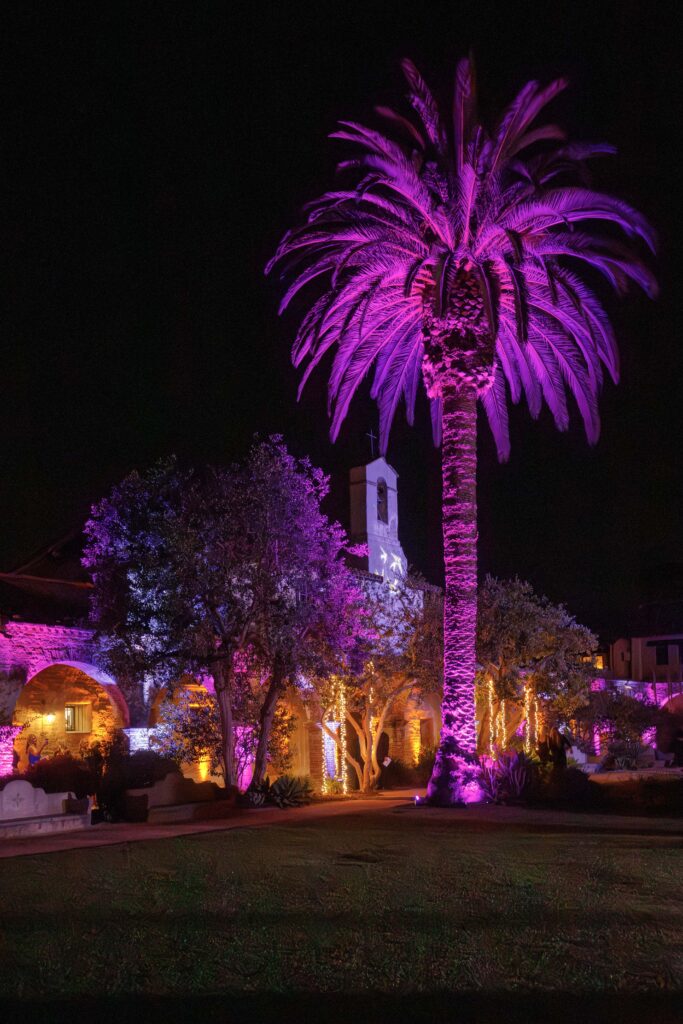 lighting on the trees and outside of the historic grounds