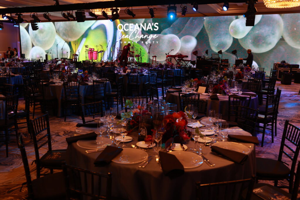 large visual screen was part of the non-profit fundraiser idea