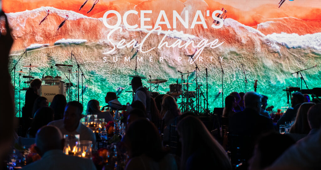 large visual screen was part of the non-profit fundraiser idea