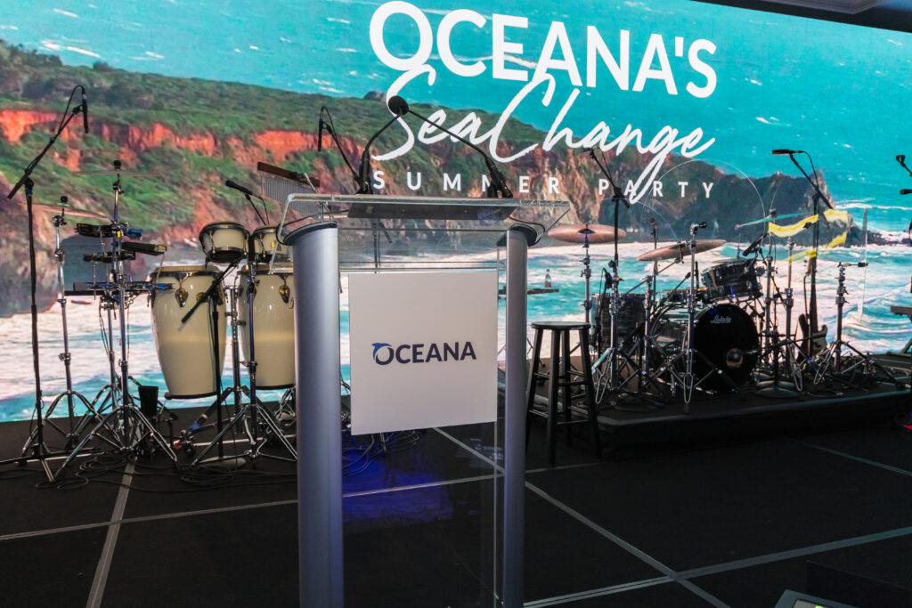 large visual screen was part of the non-profit fundraiser idea