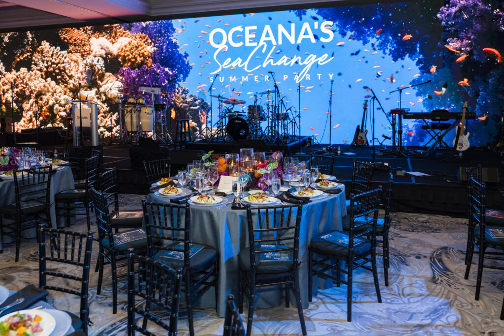 large visual screen was part of the non-profit fundraiser idea