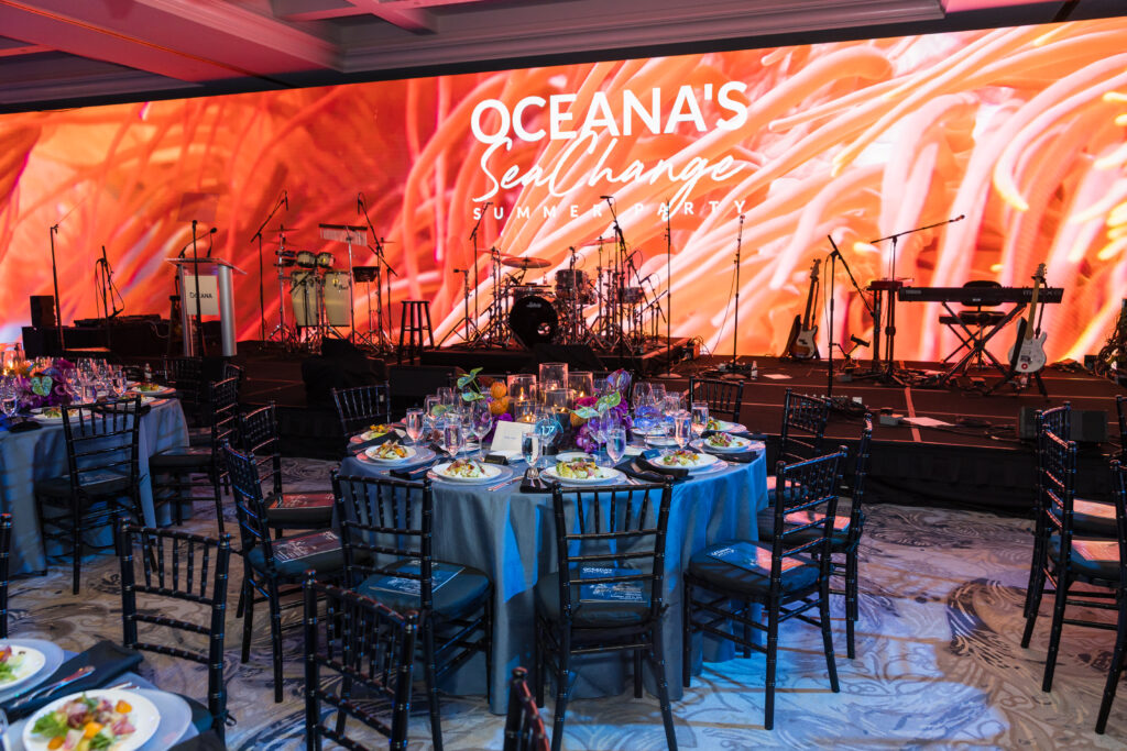 large visual screen was part of the non-profit fundraiser idea