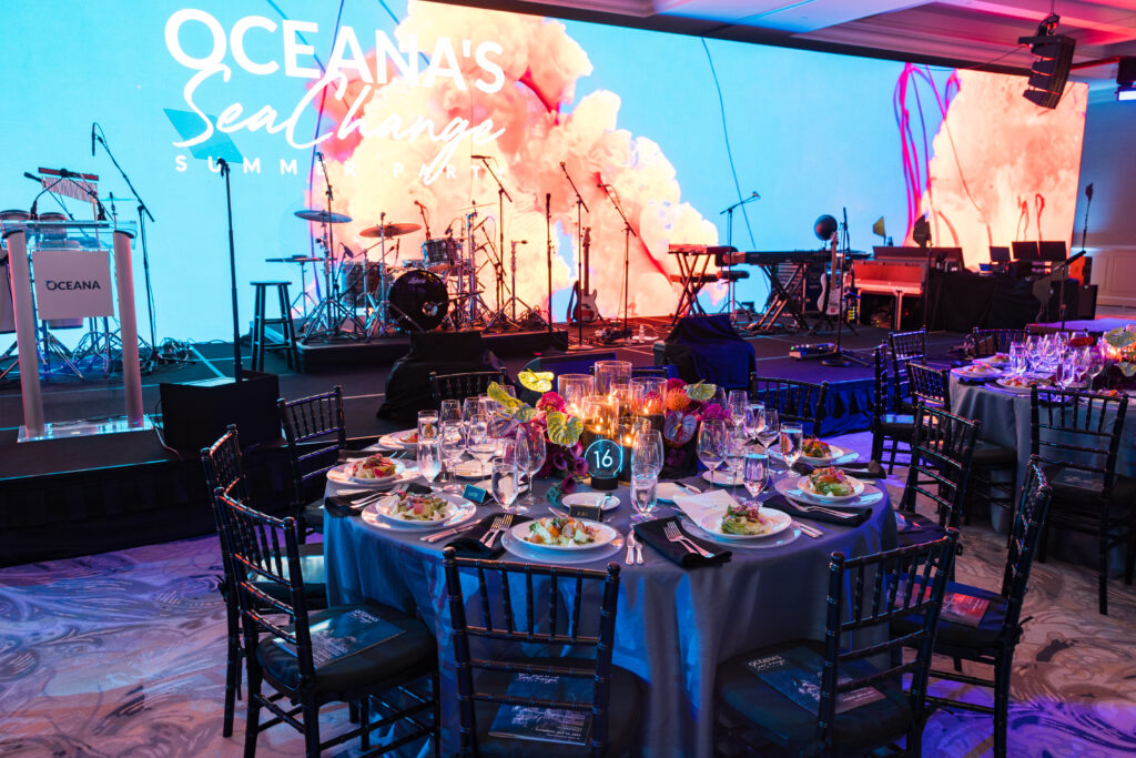 large visual screen was part of the non-profit fundraiser idea