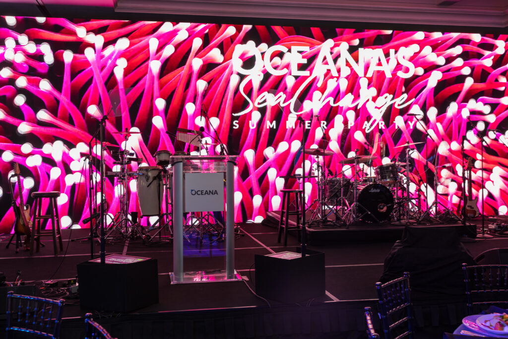 large visual screen was part of the non-profit fundraiser idea