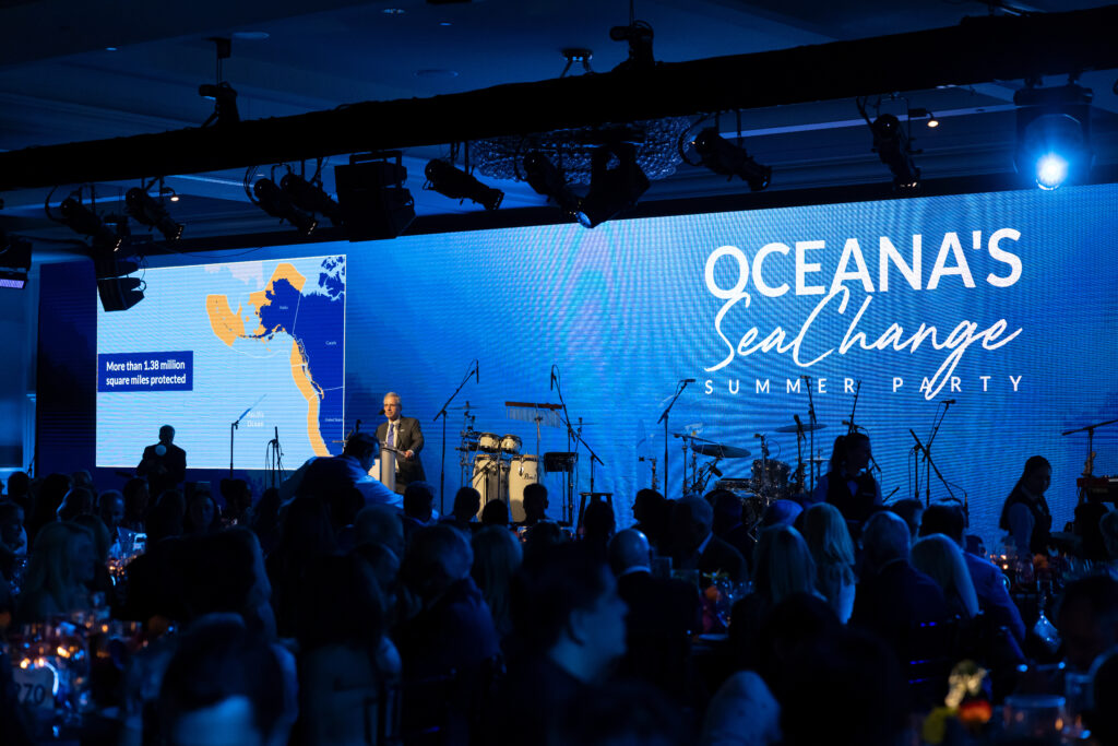 large visual screen was part of the non-profit fundraiser idea